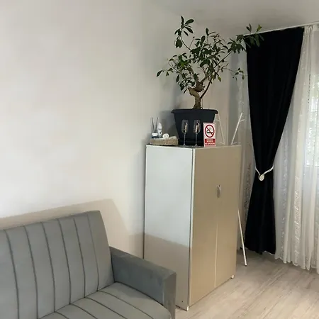 Sofia Apartament *
