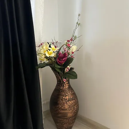 Apartment Sofia Bucharest
